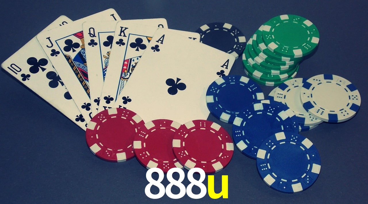 Experiência VIP 888u